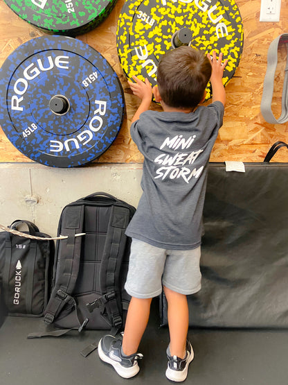 Youth Gray Mini Sweat Storm T-Shirt